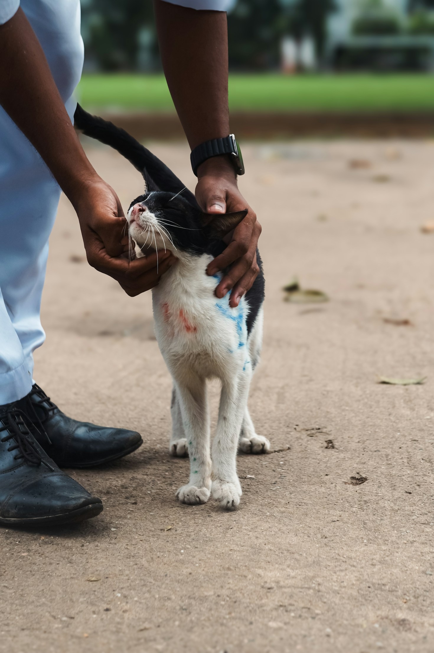 Consultas Regulares: A Base de uma Vida Saudável